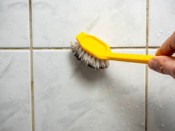 Best Localized Mold Remediation (e.g., coastal areas, humid climates) in Carbon Cliff, IL
