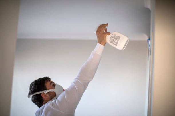 Best Black Mold Remediation in Carbon Cliff, IL