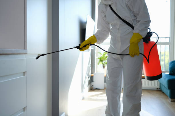Best Mold Remediation for Schools in Carbon Cliff, IL